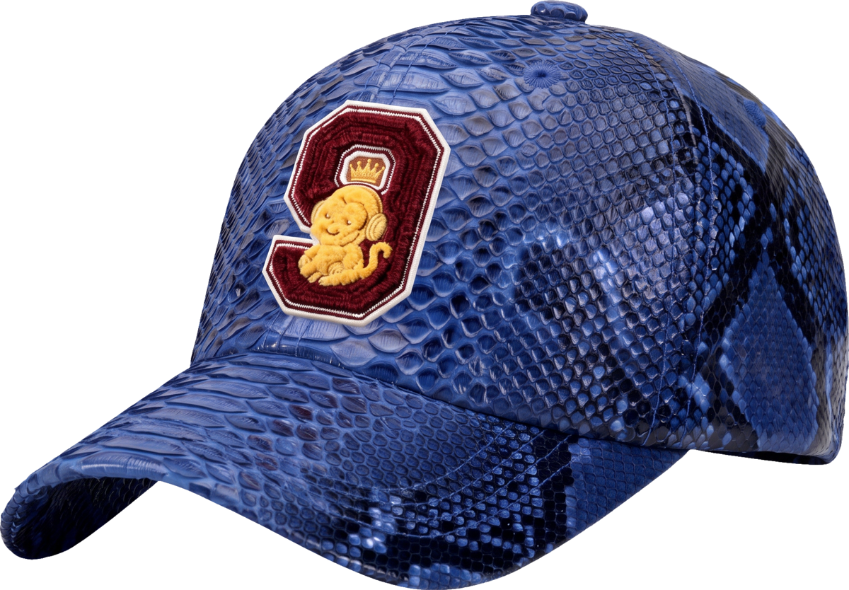 Sapphire Python Snapback